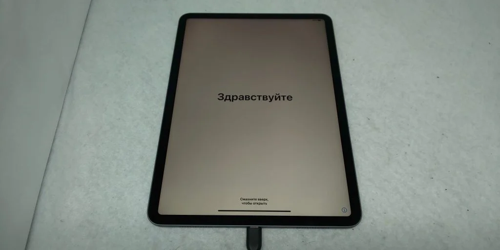 iPad mini 4 2015 充電口修理 — 修理の様子